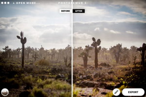 Photolemur for Professional Photo Editing From Home 