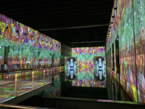 Digital projector enclosures are the need for the hour