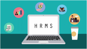 human resource management software