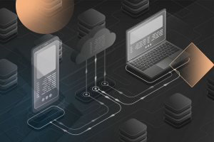 What are Professional backend services Why are they needed